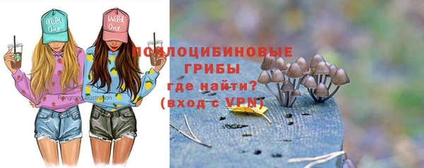 mdpv Арсеньев