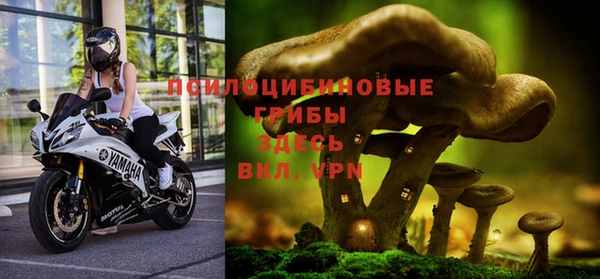 кокс Аркадак