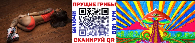Псилоцибиновые грибы Magic Shrooms  купить наркотик  Высоцк 